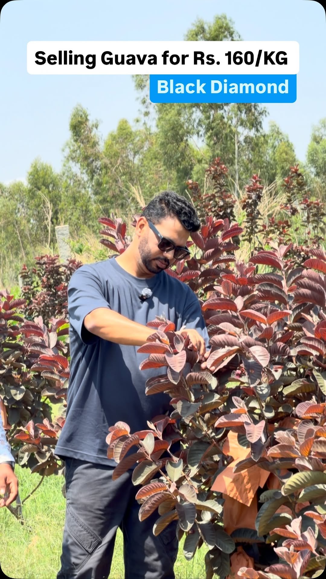 haryana_gaurav 게시물 이미지: This farmer from Bengluru earning Rs. 1.64...