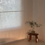 haus.ever_ 인스타그램 프로필 사진