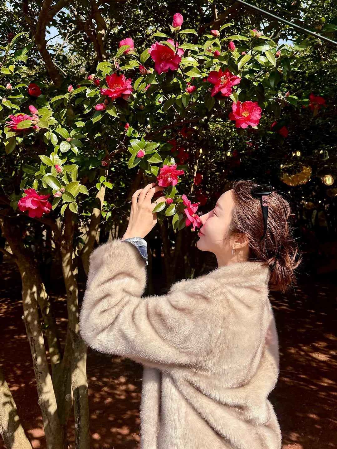 Photo by 윤나라 쇼호스트💖 on December 05, 2025. May be an image of devilwood, rose, carnation and text.