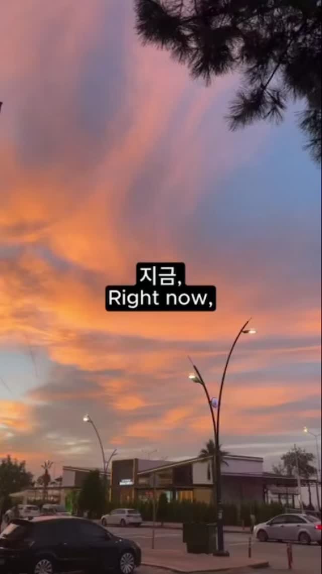 hawaiidjt 게시물 이미지: 지금 헛수고하고 있어도 괜찮습니다

#좋은글귀 #밤과나침반 #책 #하와이대저택...