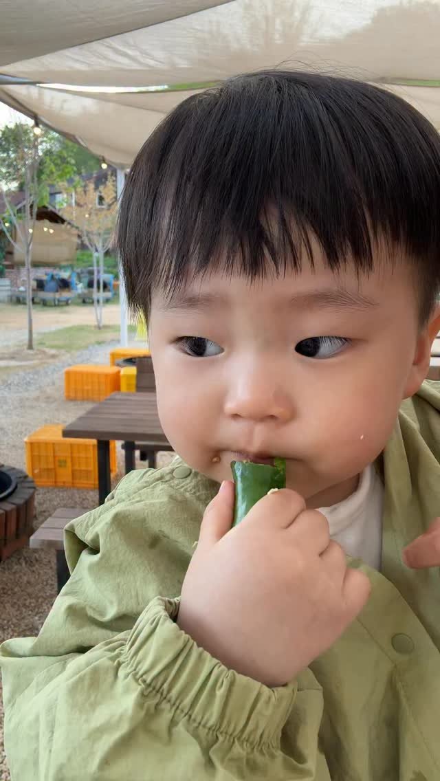 hayan_cook 게시물 이미지: 막둥아 그건 형아랑 누나도 안뺏어 먹어..

#19개월 
#인생첫고추먹방기록