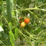 loveis2ummer 프로필 사진