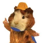 1amhardy 프로필 사진