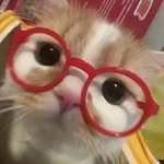 ohddumi.56 프로필 사진