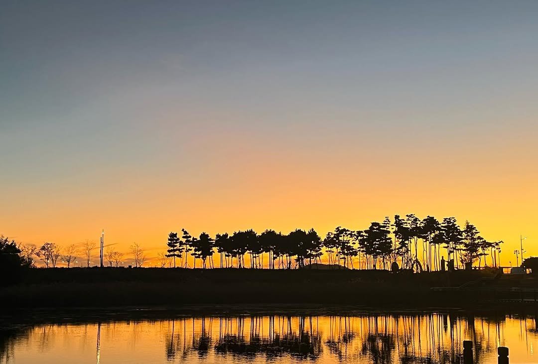 Photo by 이하율 on November 04, 2022.