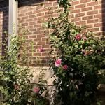 hanna2_25 프로필 사진