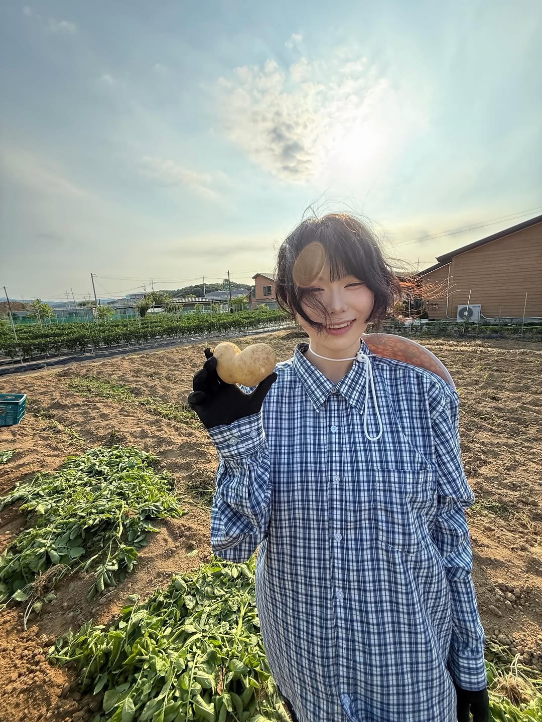 hea_dli 게시물 이미지: 하트감자 캤어요!!🥔