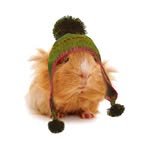 saltynbetty 프로필 사진