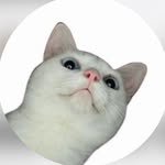 daam._._ 프로필 사진