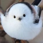 _jeong_h_12_2 프로필 사진