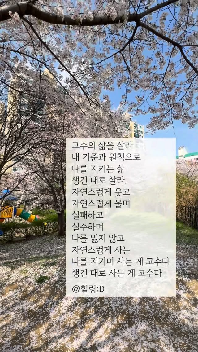 healing_delivery 게시물 이미지: 🎁 [힐링 딜리버리 | 힐링디 | 힐링 메시지 454]

고수의 삶을 살라
내...