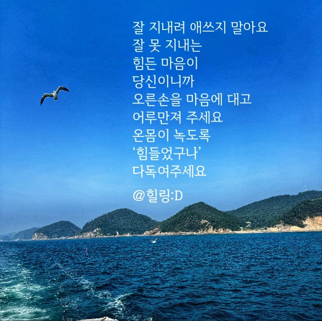 healing_delivery 게시물 이미지: 🎁 [힐링 딜리버리 | 힐링디 | 힐링 메시지 446]

잘 지내려 애쓰지...