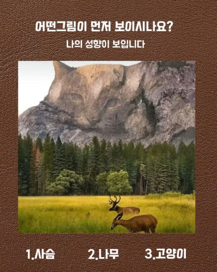 health_channel01 게시물 이미지: 💜어떤그림이 먼저 보이시나요?
나의 성향이 보입니다
ㆍ
ㆍ
.
1.사슴🦌

자유톰고...