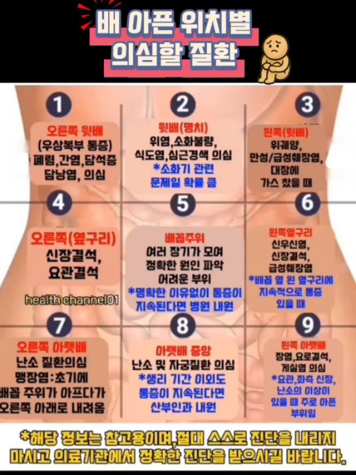 health_channel01 게시물 이미지: 💜배아픈 위치별 의심할 질환

#건강
#건강정보