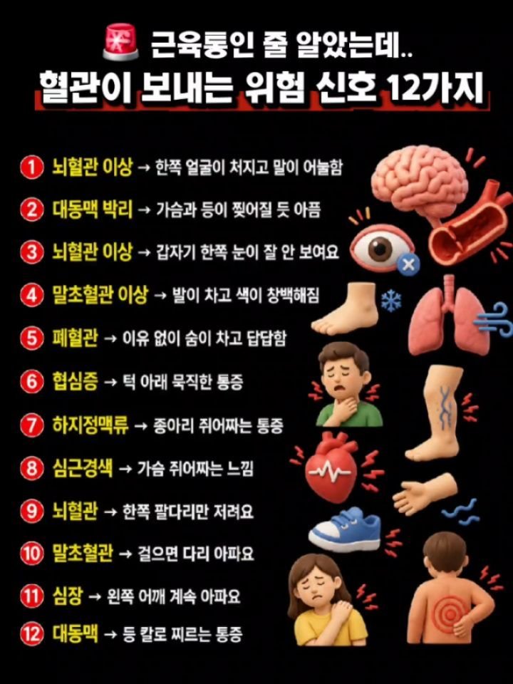 health_channel01 게시물 이미지: 📍근육통인 출 알았는데. 혈관이 보내는 위험 신호 12가지

좀 쉬면...