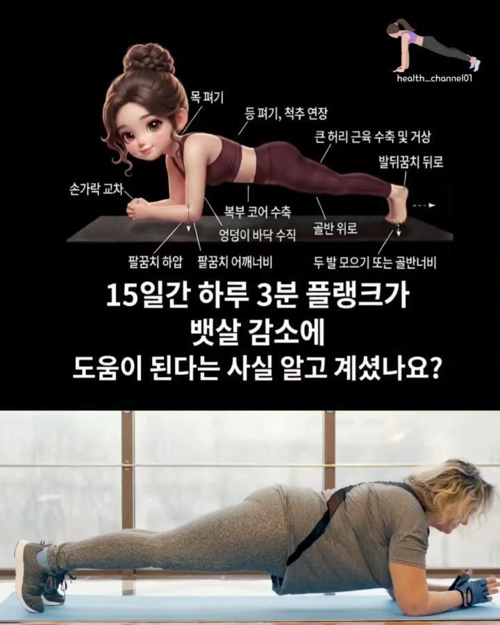 health_channel01 게시물 이미지: 💜플랭크 3분이 뱃살 감소에 효과적인 과학적 원리

플랭크 자세는 
복부의 심부...
