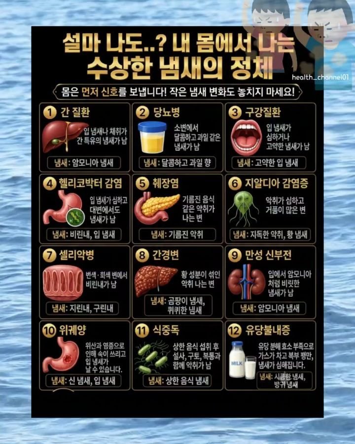 health_channel01 게시물 이미지: 💜혹시 내 몸에서 나는 이 냄새...

요즘 유독 피곤하고 몸이 이상한데......