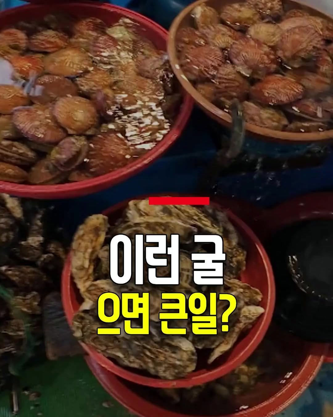 health_genius_ 게시물 이미지: 이런 굴 먹으면 큰일납니다!

굴이 남자에게 좋지만 이걸 모르고...