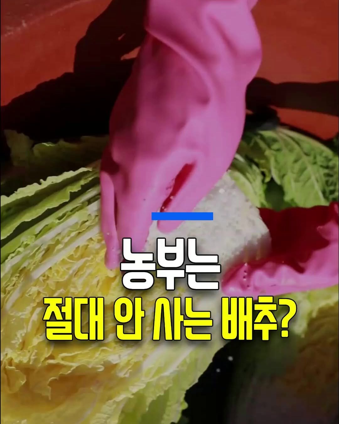 health_genius_ 게시물 이미지: 농부는 절대 안 사는 배추?

마트에서 배추 고를 때 이거 모르면 진짜...