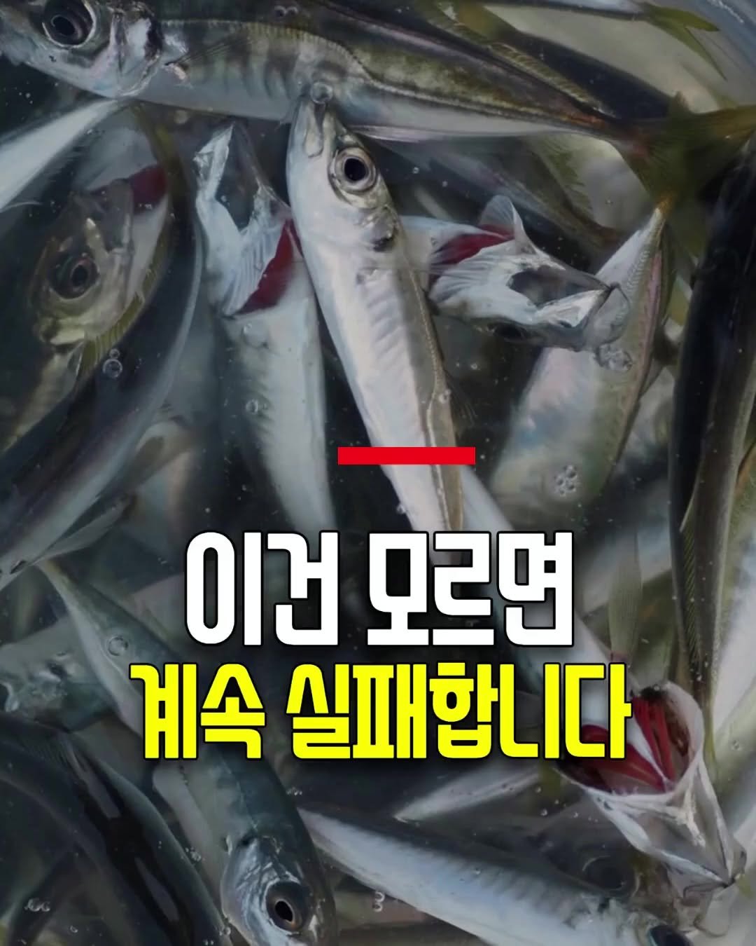 health_genius_ 게시물 이미지: 이것 모르면 계속 실패합니다

냉동실에 있던 생선을 요리하기 전 이 방법으로...