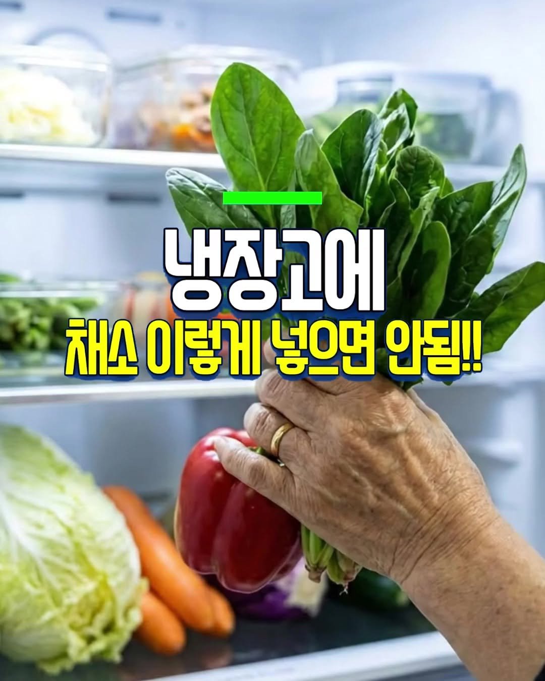 Photo by 건강천재 on April 27, 2026. May be an image of refrigerator, vegetable and text that says '냉장고에 내장의 OOLO 채소 이렇게 넣으면 안됨!!'.
