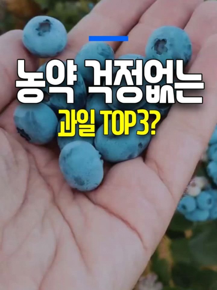 health_genius_ 게시물 이미지: 농약 걱정할 필요 없는 과일 TOP3?

이친구들은 말하자면 과일계의 피지컬100...