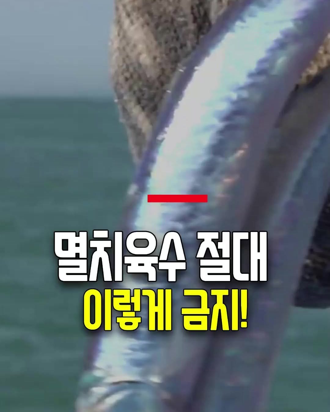health_genius_ 게시물 이미지: 멸치육수 절대 이렇게 끓이지 마세요

멸치육수, 지금 이렇게 끓이고 계세요?
그러면...