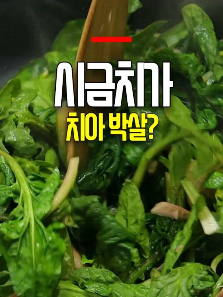 health_genius_ 게시물 이미지: 시금치 이렇게 먹으면 치아 박살?

시금치를 무쳐 먹거나 시금치 된장찌개 같은...