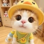 jeongyeowoon03 프로필 사진