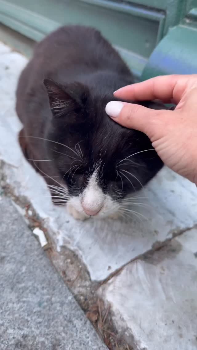 healthyfitnessmeals 게시물 이미지: 2025 was the year of traveling. Wishing you...