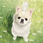 chami0206 프로필 사진