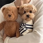 petpicnic_official 프로필 사진