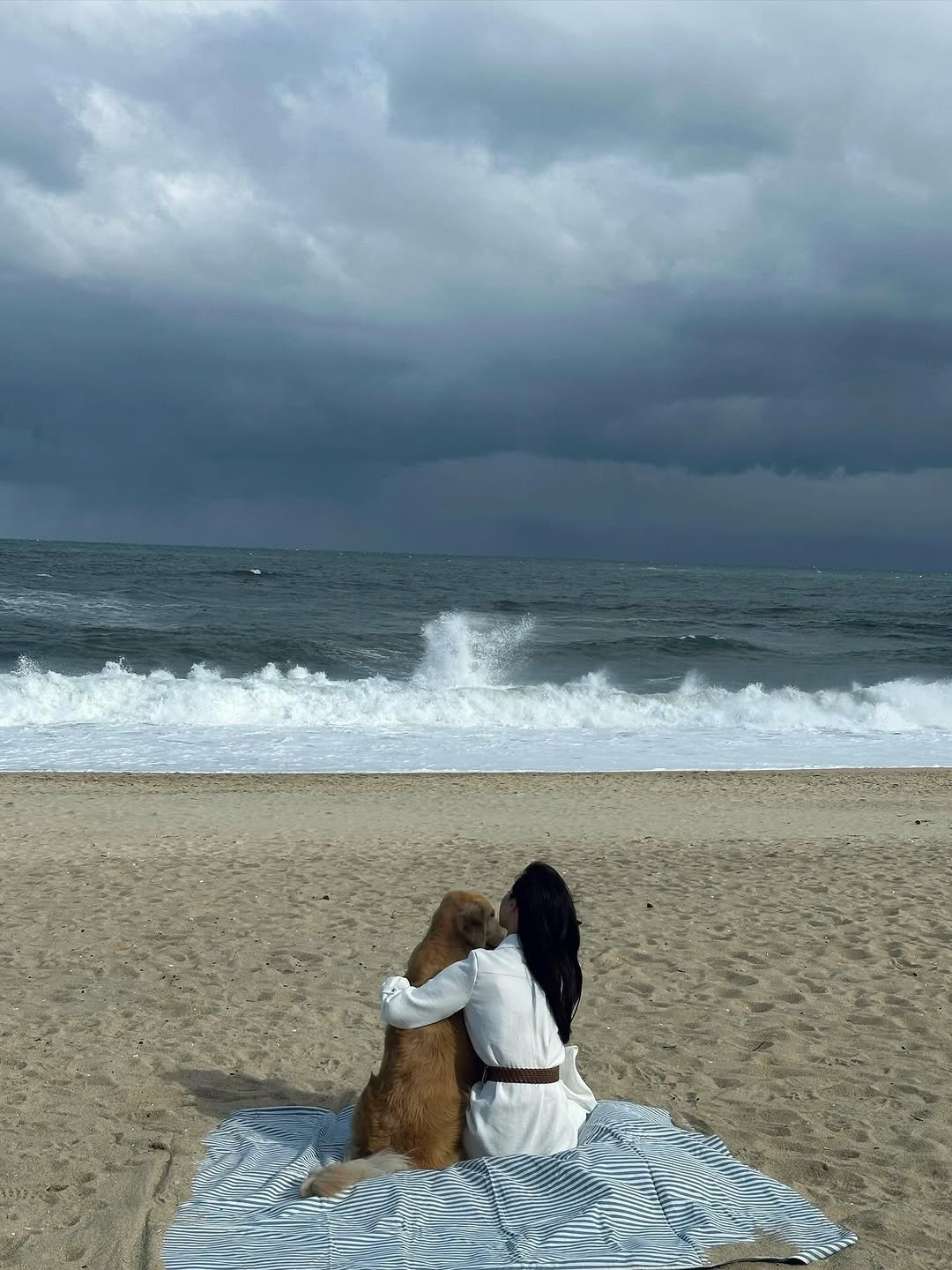 Photo by 최희진 on November 24, 2025. May be an image of Bedlington terrier and text.