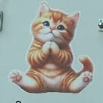 jiyoonkwack 프로필 사진