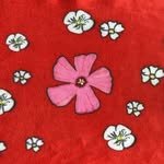 kkot.re 프로필 사진