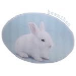 heemihan_official 프로필 사진