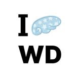 wonderwonder.co.kr 프로필 사진