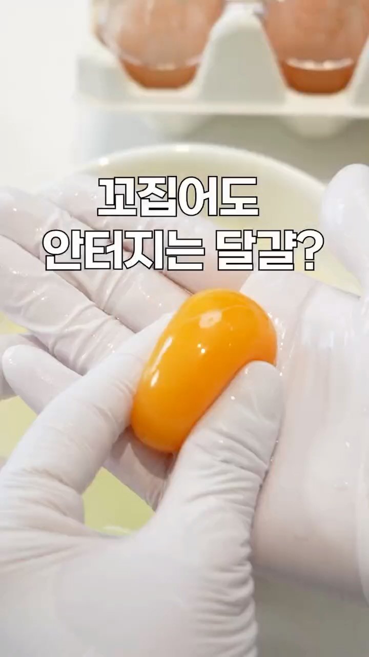 heewon_home 게시물 이미지: #4차공구예고 마트에서는 볼 수 없는 좋은 품질의 자연방사 1번 유정란🥚
찾으신다면...