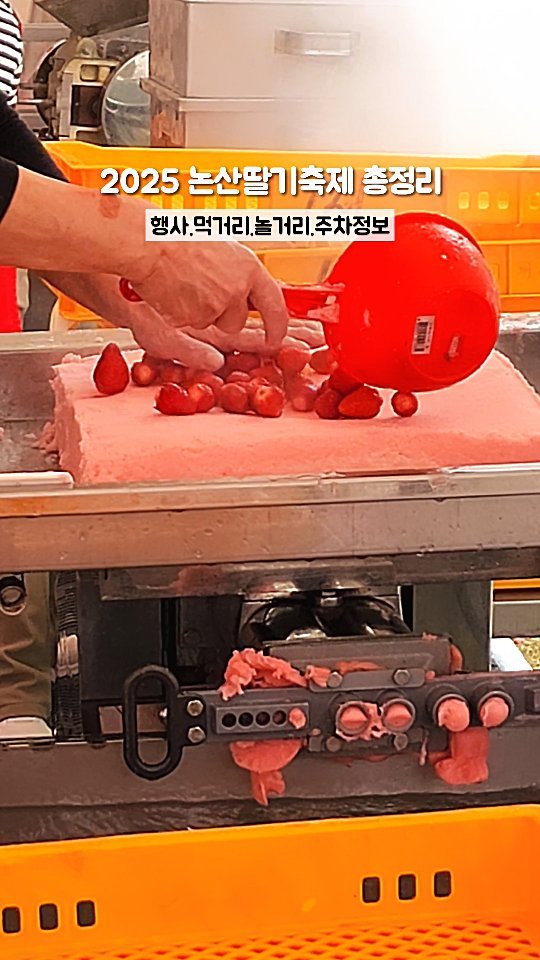 heidi.jeon 게시물 이미지: 🍓 2025논산딸기축제 총정리
🏷저장.공유하고 딸기 털러갈사람?@@@
딸기는...