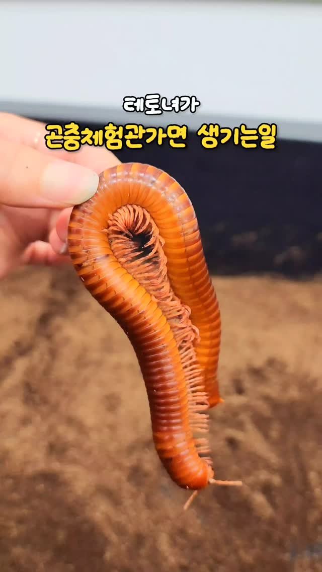 heidi.jeon 게시물 이미지: 이것이 진정한 테토녀.?🧘♀️
테토녀 친구에게 당장 공유하기🏷
영등포구에서...