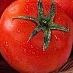 freeb_yeokyoung 프로필 사진