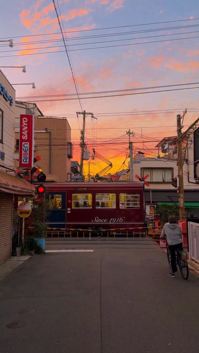 hello_dongwon 게시물 이미지: 세상에.. 오사카에 이런 곳이 있었다니, 애니메니션 속에 들어온 것 같다 🤍 위치는...