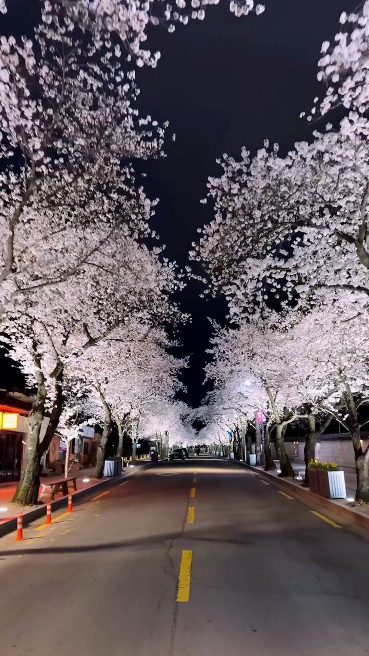 hello_dongwon 게시물 이미지: 3월 경주를 안 가는건 큰 손해다.

💁🏻‍♂️ 잘 키운 계정 하나로 내집 마련도...