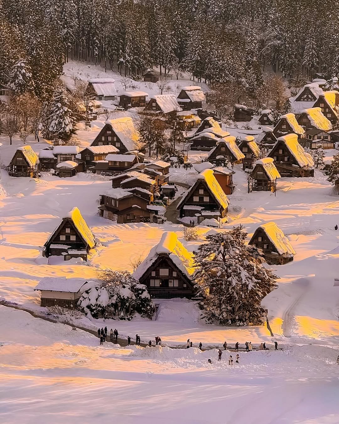 Photo by 헬로동원 hello_dongwon on December 20, 2025. May be an image of arctic, snow and text.