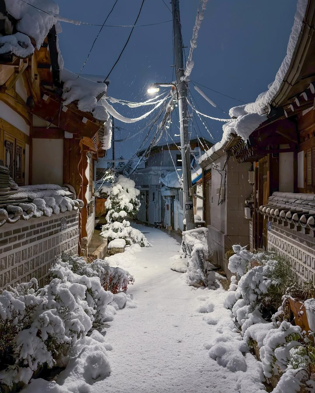 Photo by 헬로동원 hello_dongwon on December 18, 2025. May be an image of lantern, Fushimi Inari Taisha and text.