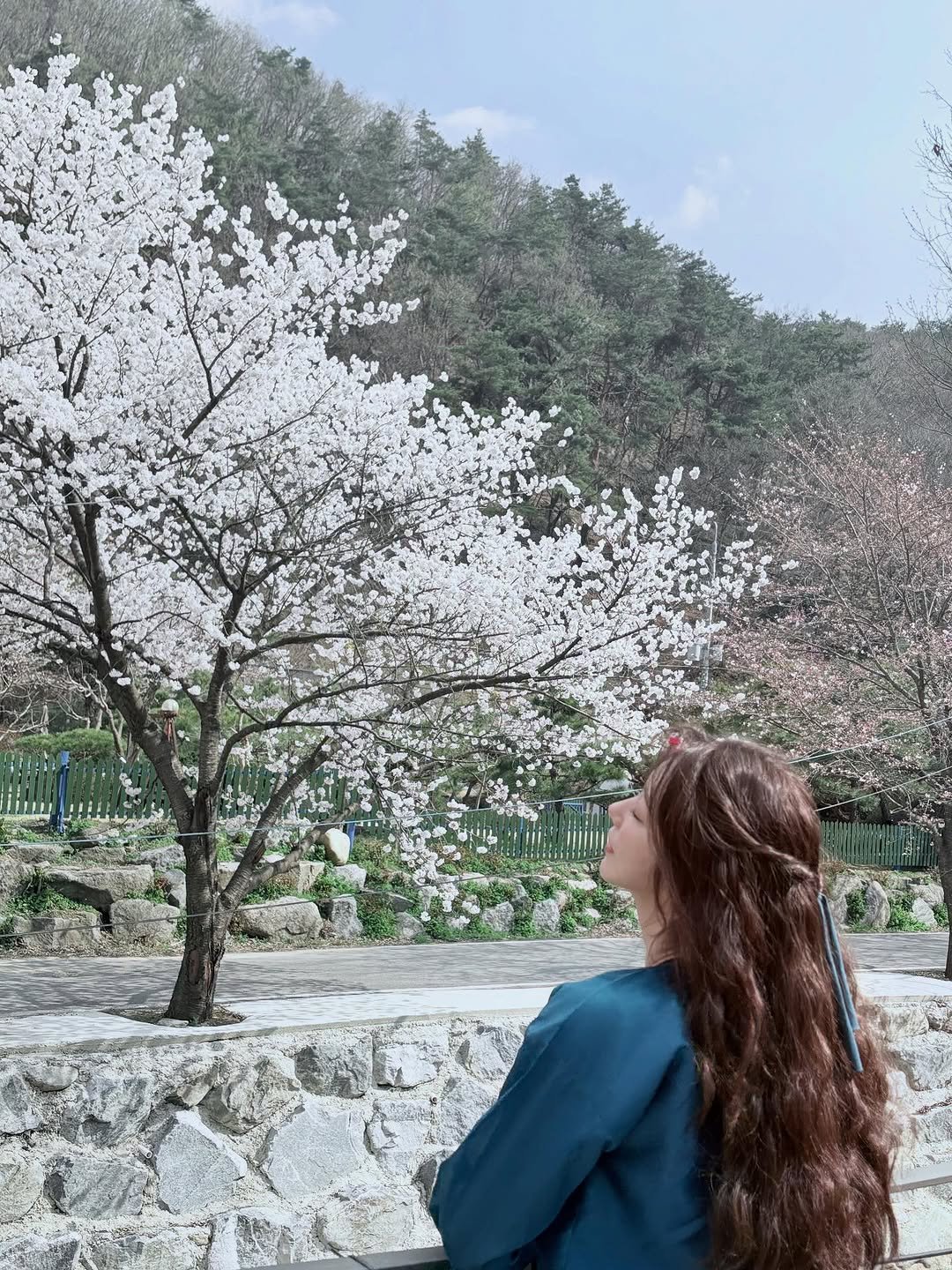 Photo by 이주빈 on September 06, 2025. May be an image of one or more people, hair, flower, stone-fruit tree and outdoors.