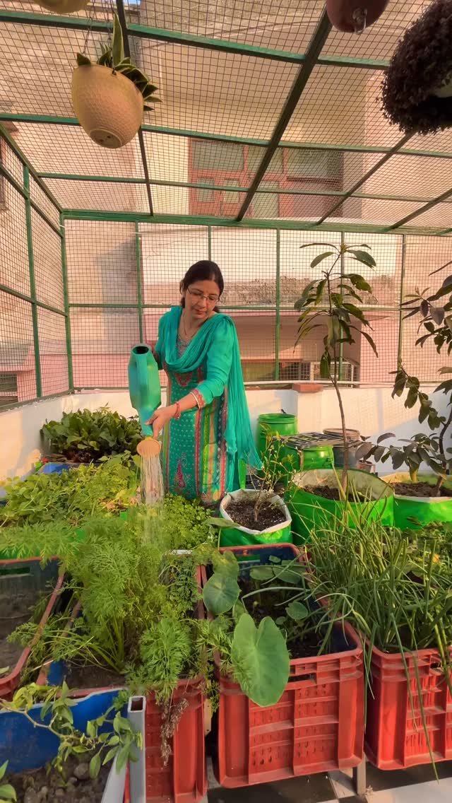 hellokisaan 게시물 이미지: घर की छत पर पूरे घर की खेती #hellokisaan...