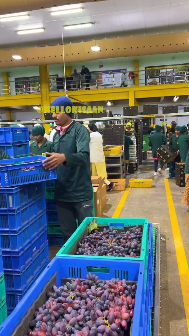 hellokisaan 게시물 이미지: खेती नहीं भाई फैक्ट्री बोलो #hellokisaan...