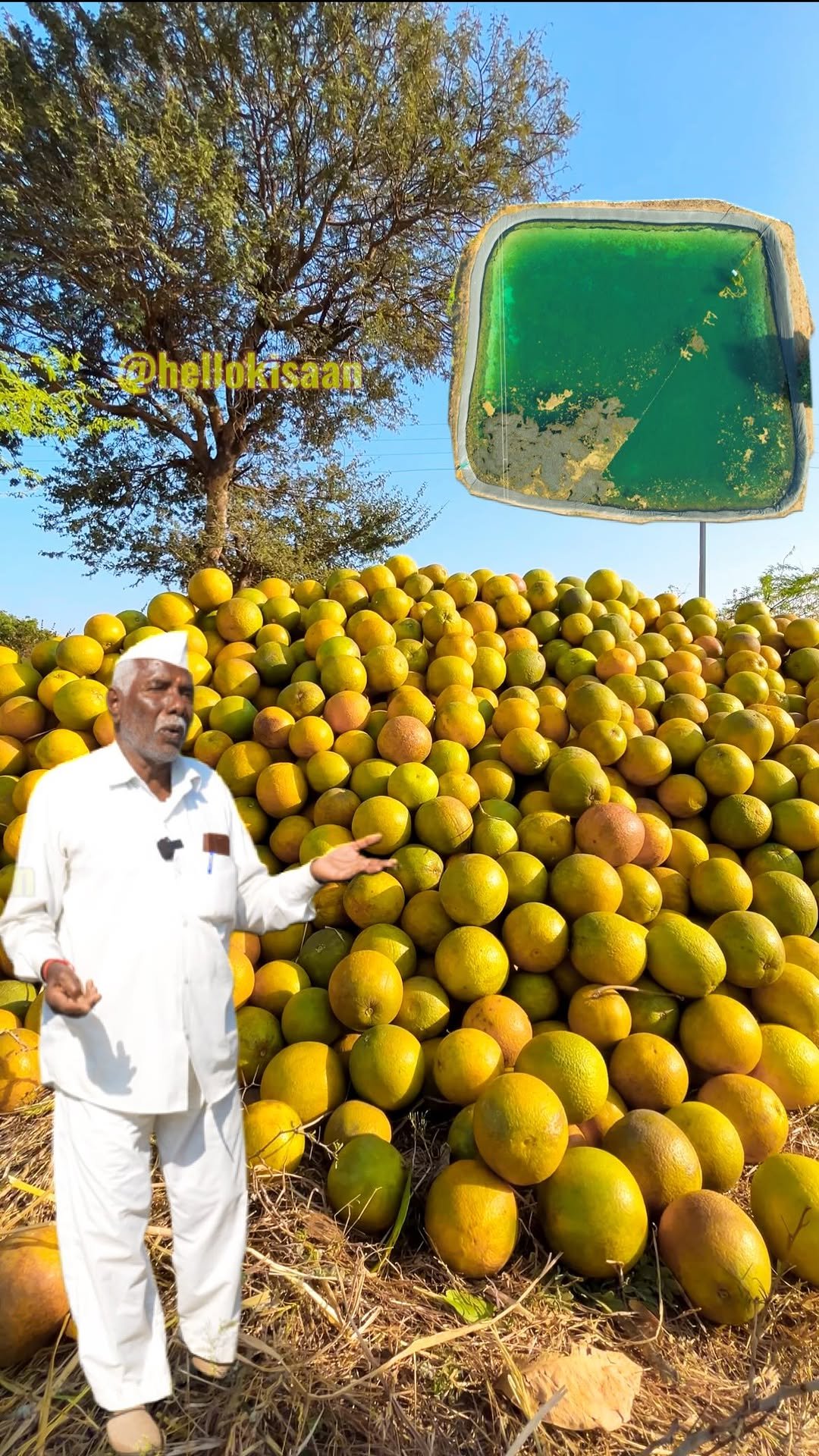 hellokisaan 게시물 이미지: खेती की समंज - कैसे पूरे कृषि को बदलती है...