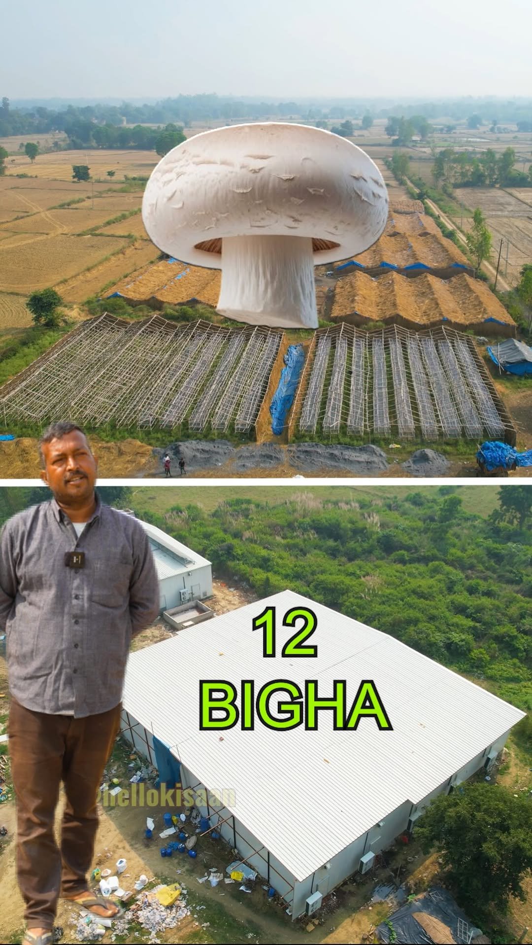 hellokisaan 게시물 이미지: मशरूम का बोल बाला #hellokisaan...